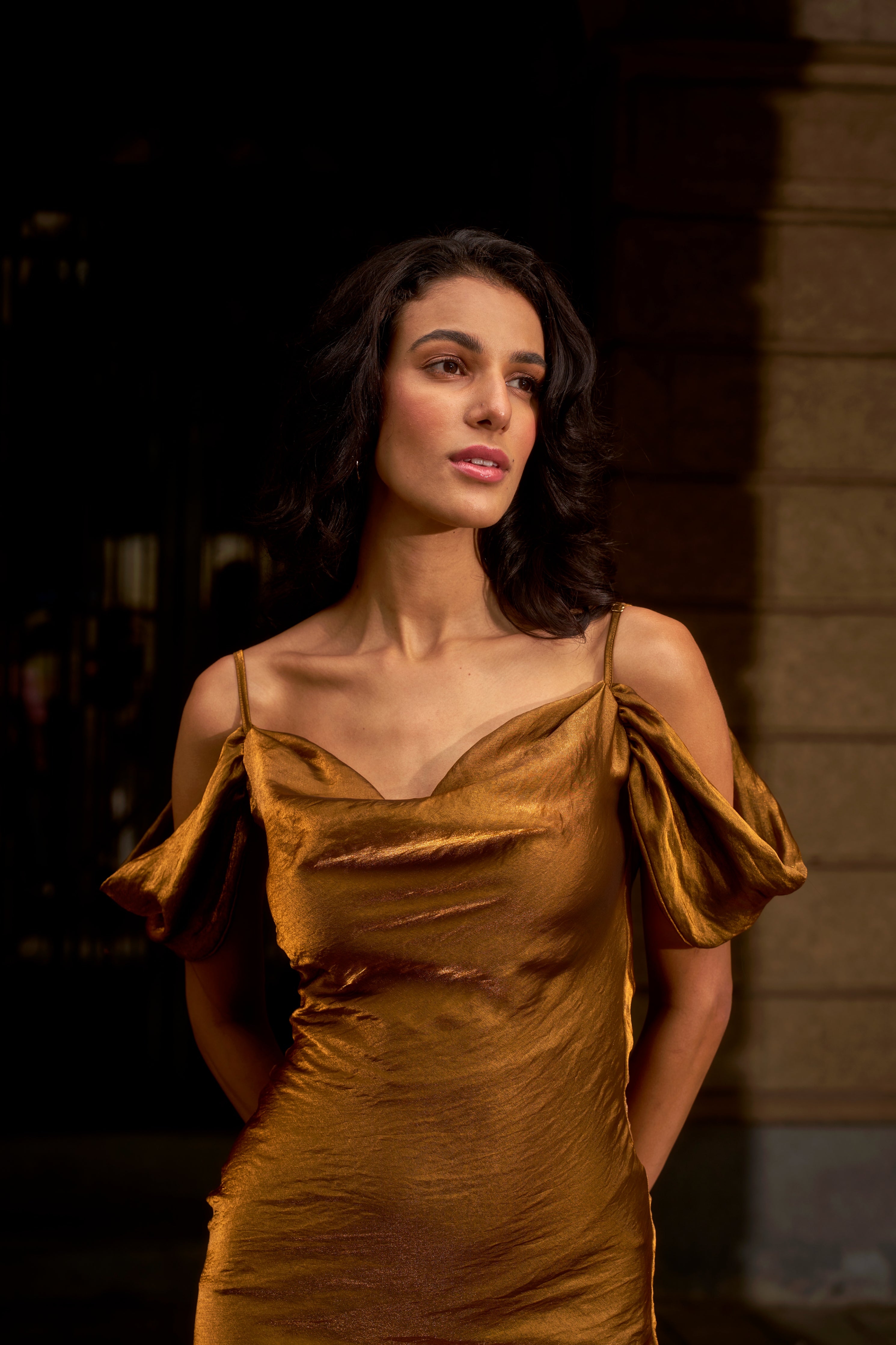 The Golden Dusk Gown