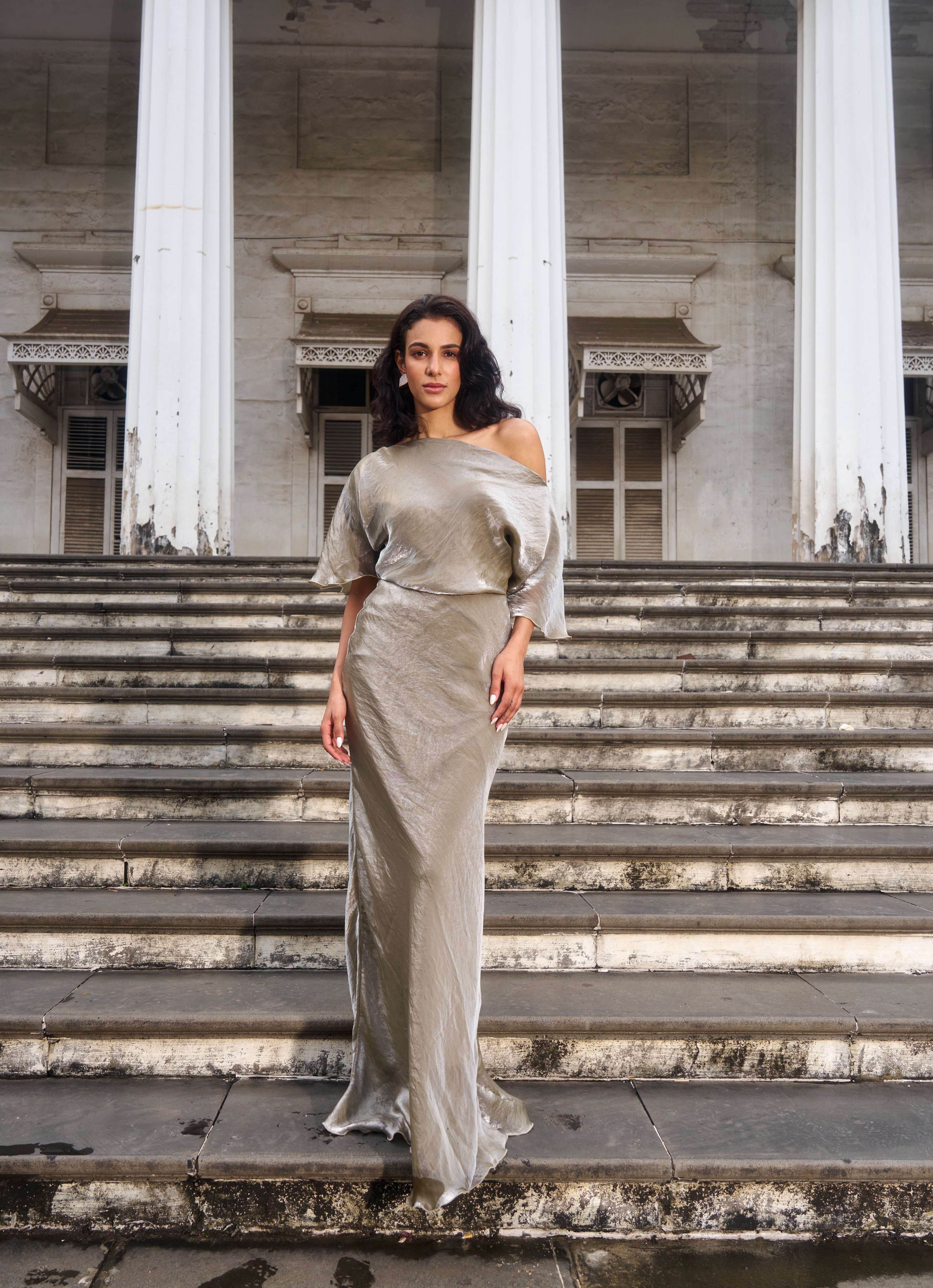 The Silver Metallic Gown