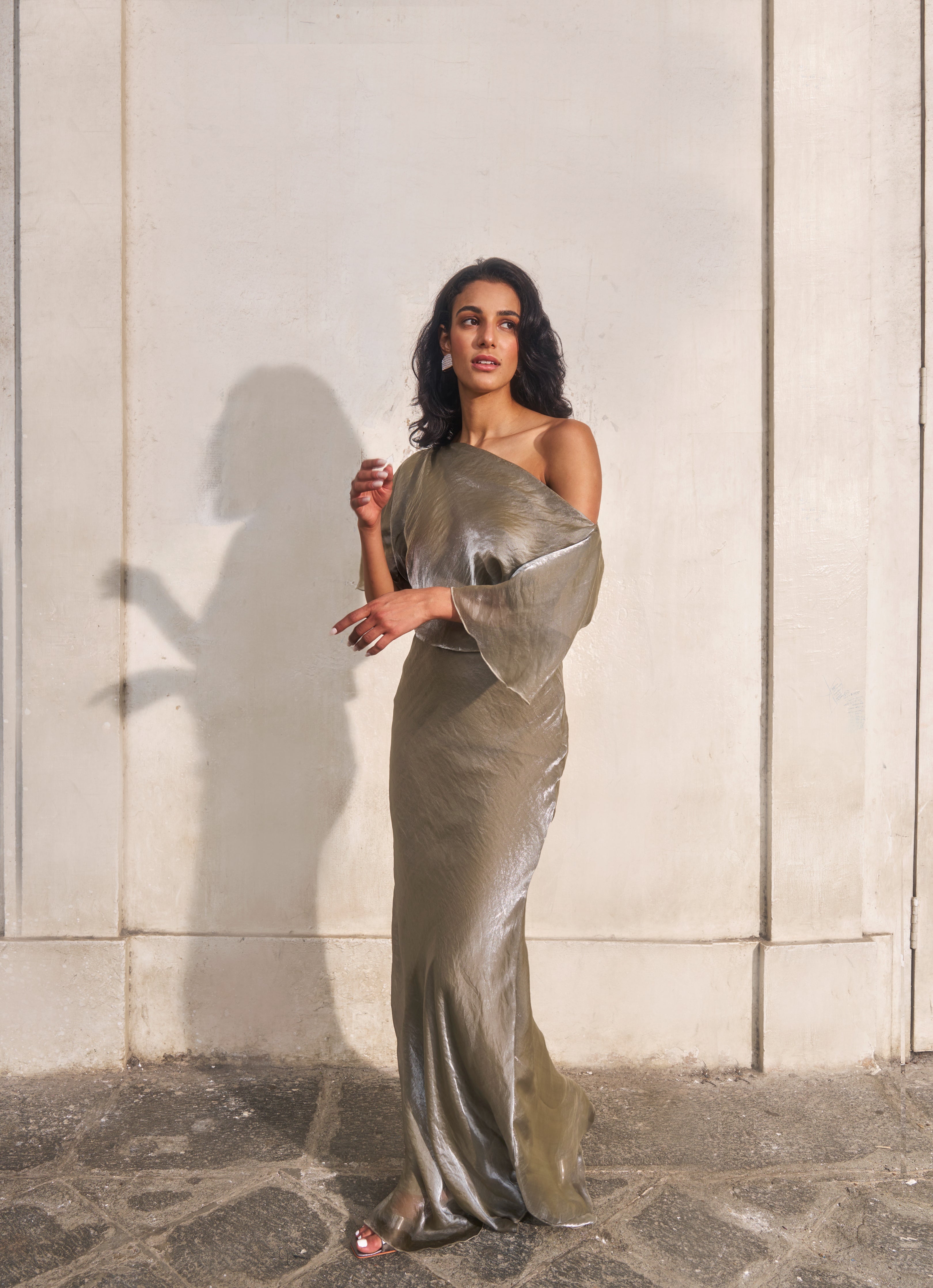 The Silver Metallic Gown